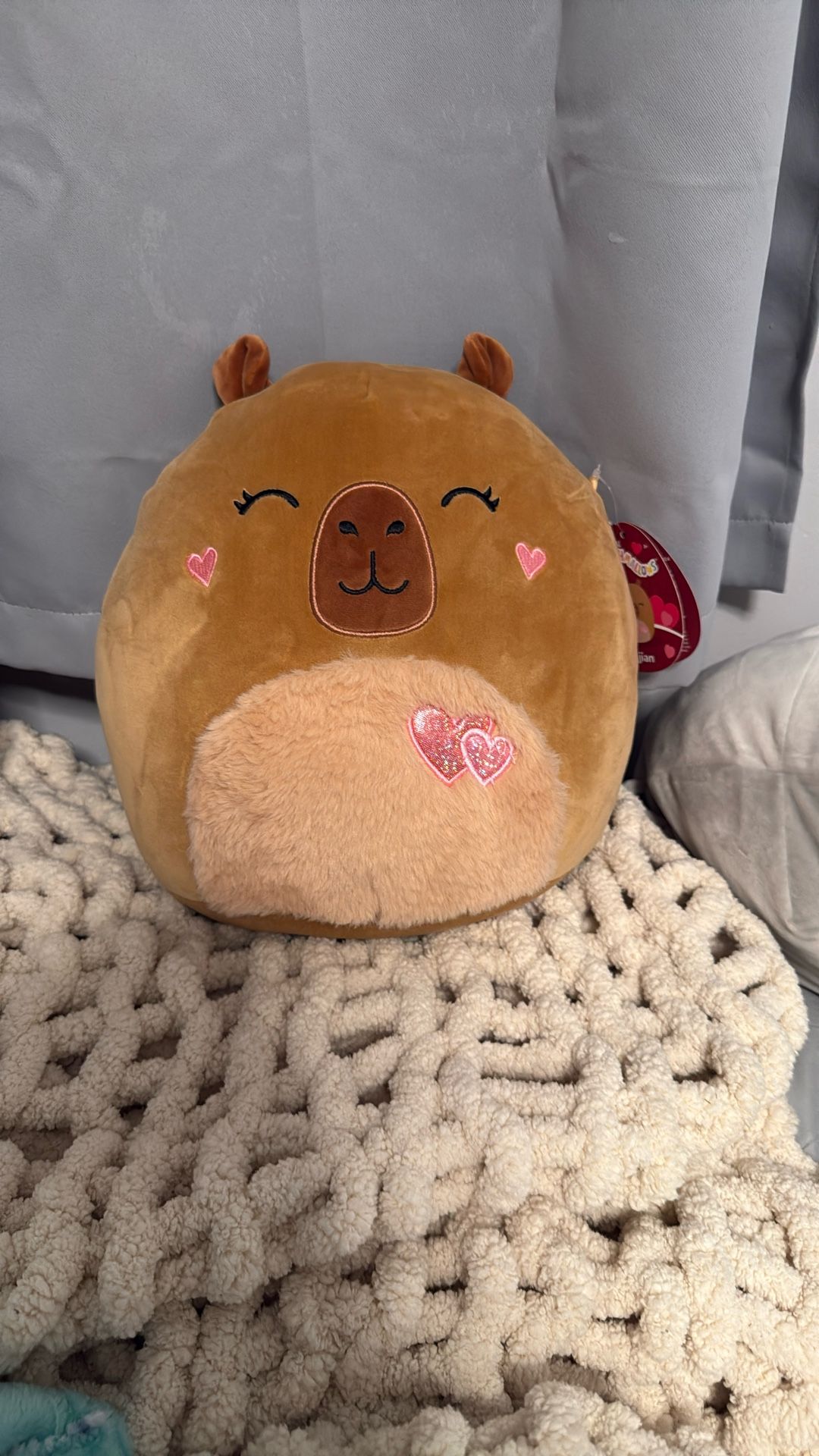 Capybara squishmallow