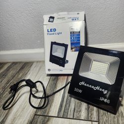 HANNAHONG 30W LED Flood Light Plug in 