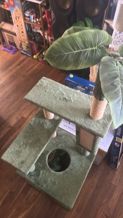 Green Cat Tree with Condo and Scratching Posts