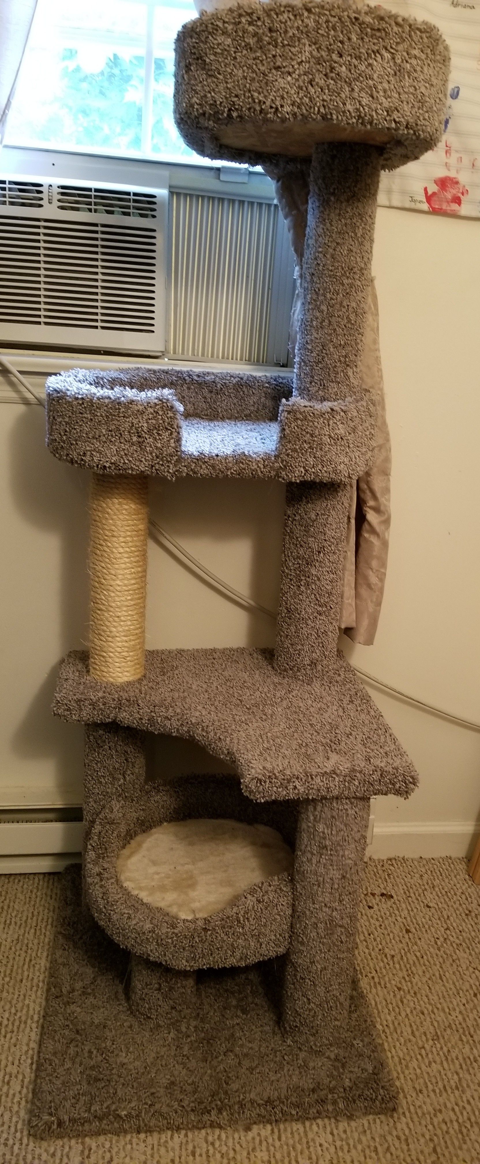 Whisker City Play Park Cat tree.