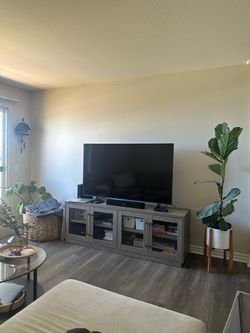 Wayfair TV Console