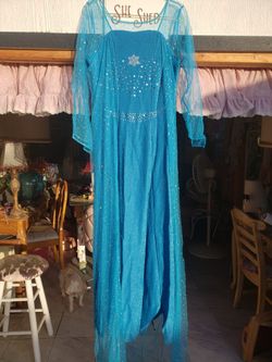 Frozen Elsa Costume For women Size