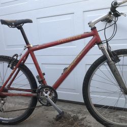 SPECIALIZED Mountain Bike
