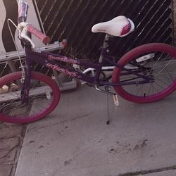 Girls Joystar Buttercup Bike Pink Purple Youth Bicycle