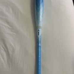 Hype Fire/Artic Flame Baseball Bat (30 -10 And 31 -8)