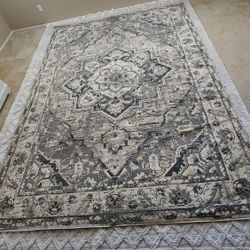 Area Rug (See Pictures For Details)