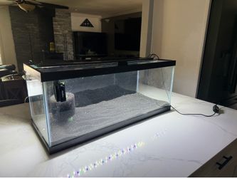20 gallon aquarium