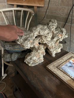 Coral for a fish tank