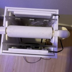 Algae Scrubber