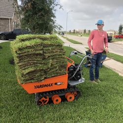 Grass Sod 