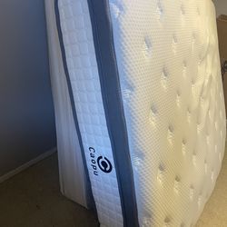 12in Queen Caopo mattress