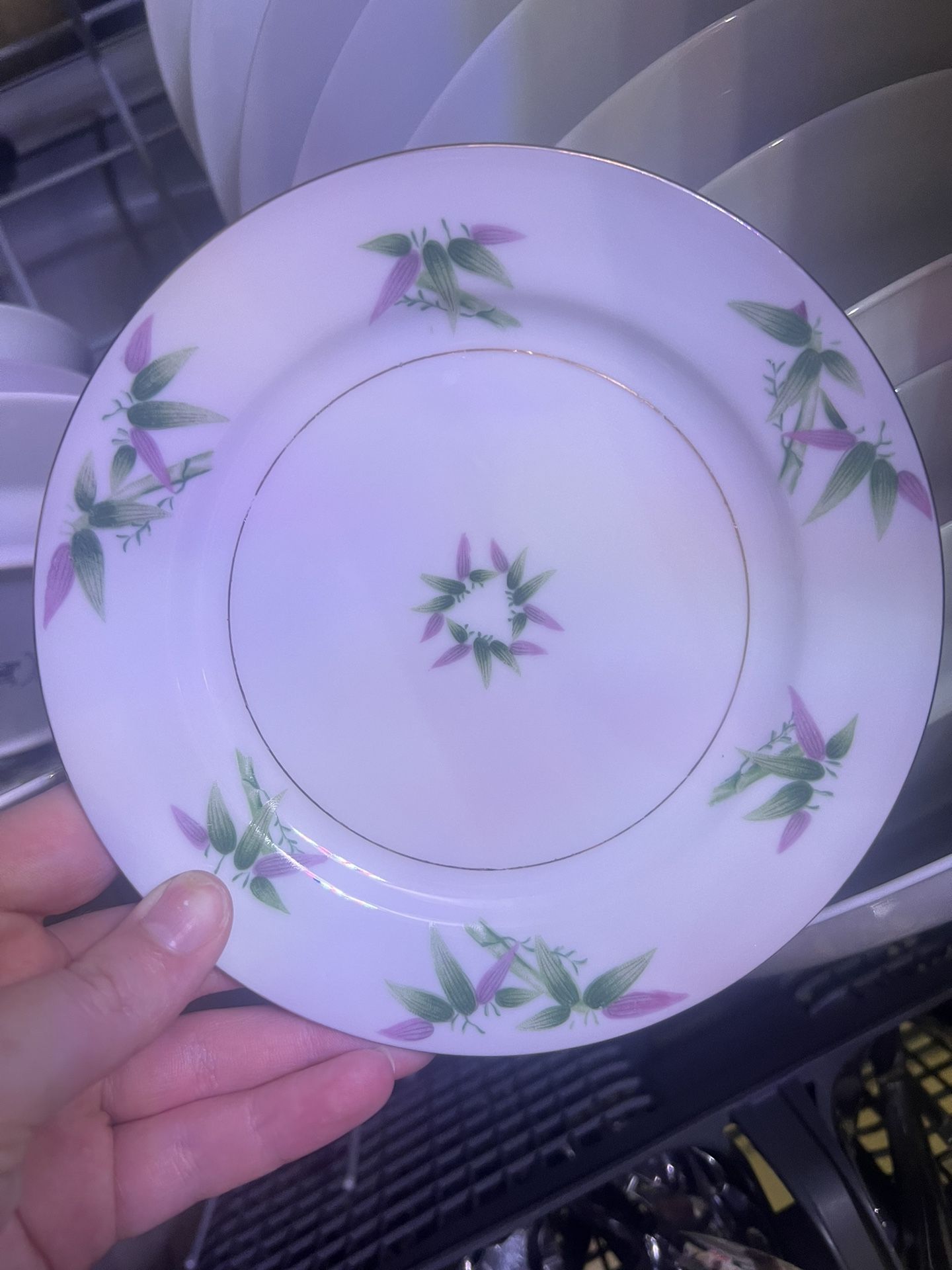 Dish/china Set