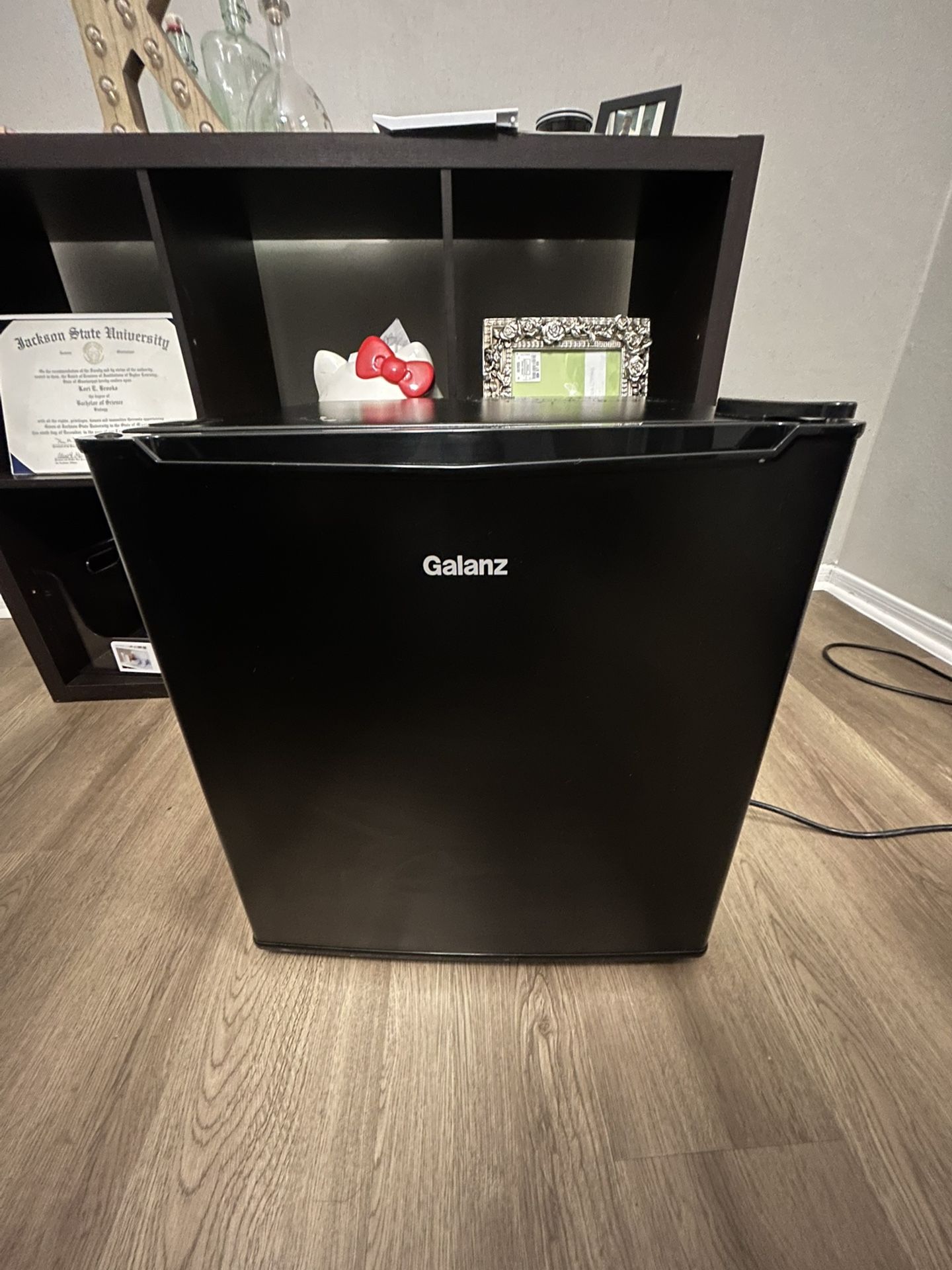 Mini Fridge