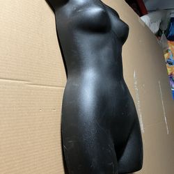Female Mannequin Half Body