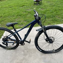 Mountain Bike