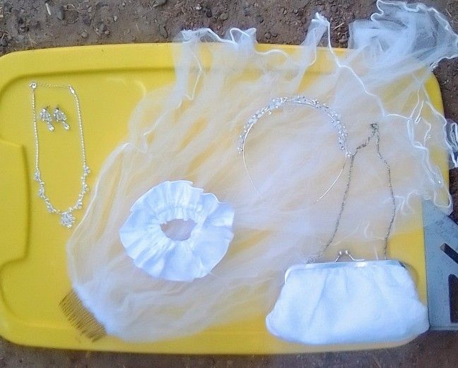 Quinceanera/Wedding Bundle