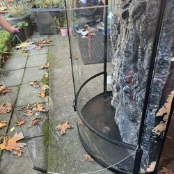 Lizard Cage 
