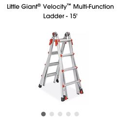 Ladder Little Giant New
