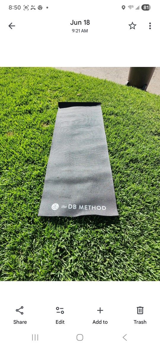 The Dream Mat Db Method Yoga Mat Exercise 68" x 24"