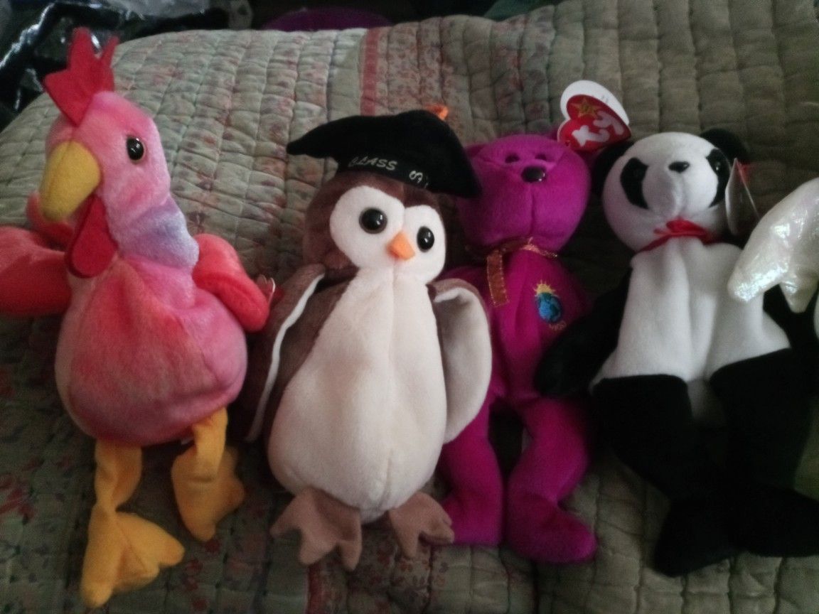 Several Beanie Babies for sale