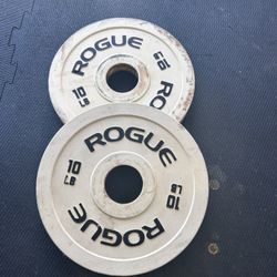 Rouge 10 LB Change Plate