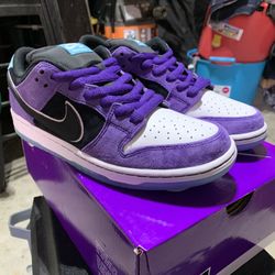 Nike Sb Dunk Hayley Wilson Size 9