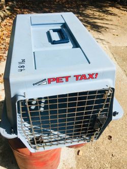 Pet taxi ... medium