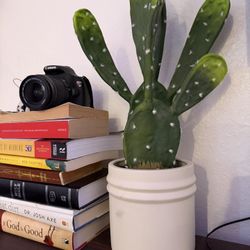 Decorative Faux Cactus in Ceramic Pot