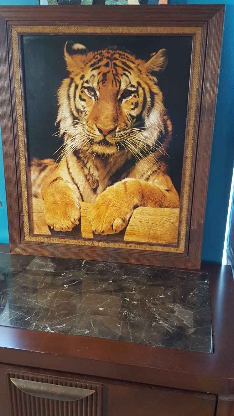 Lion Picture in Wood Frame