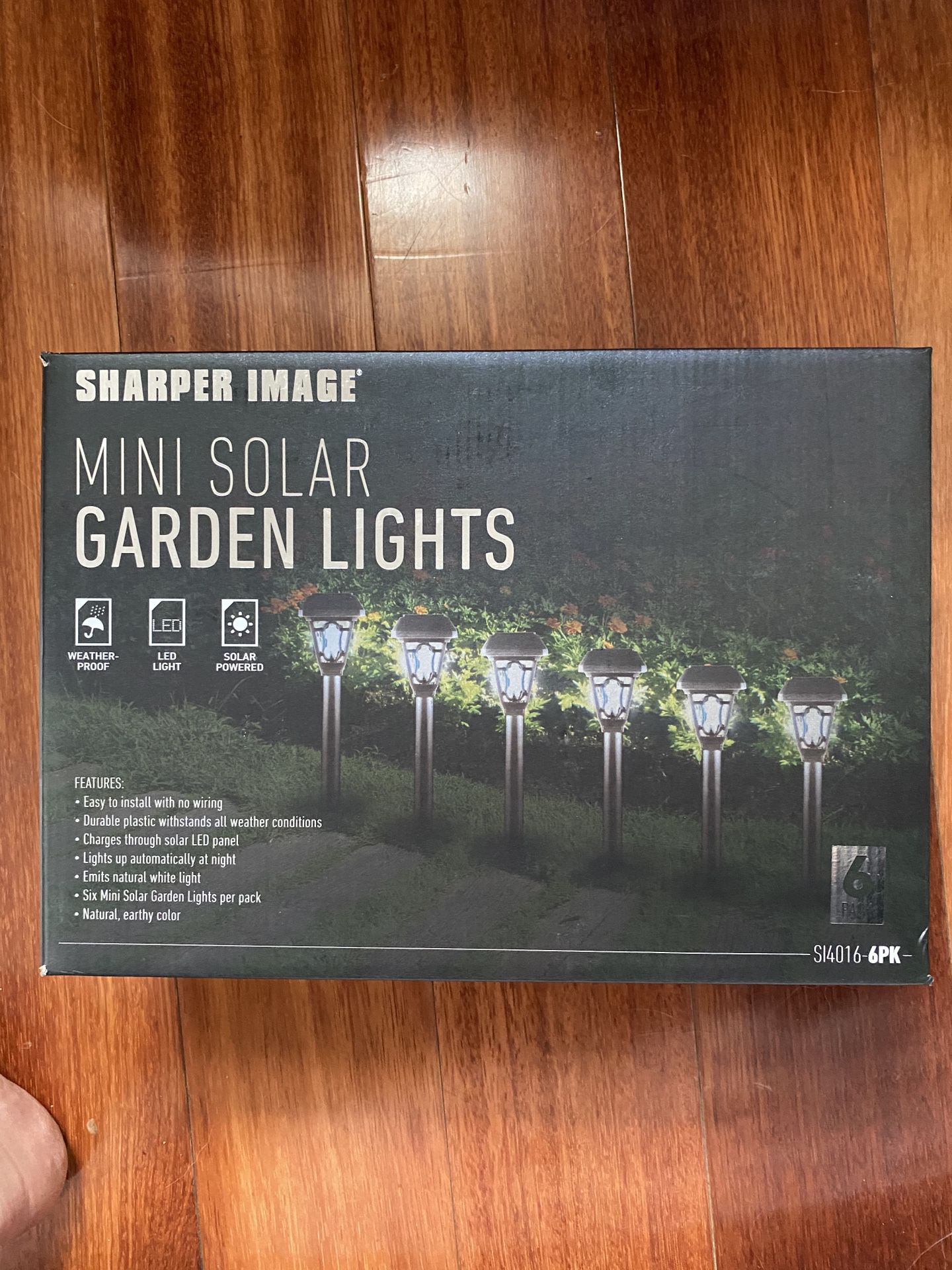 Mini Solar Garden Lights (6)