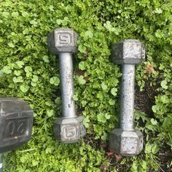 5 Pound Dumbbells 