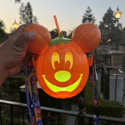 Mickey Pumpkin Sipper