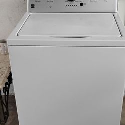 Labadora Blanca Trabaja Todo Bien 