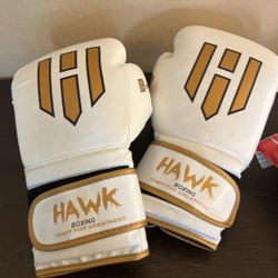 Boxing Gloves