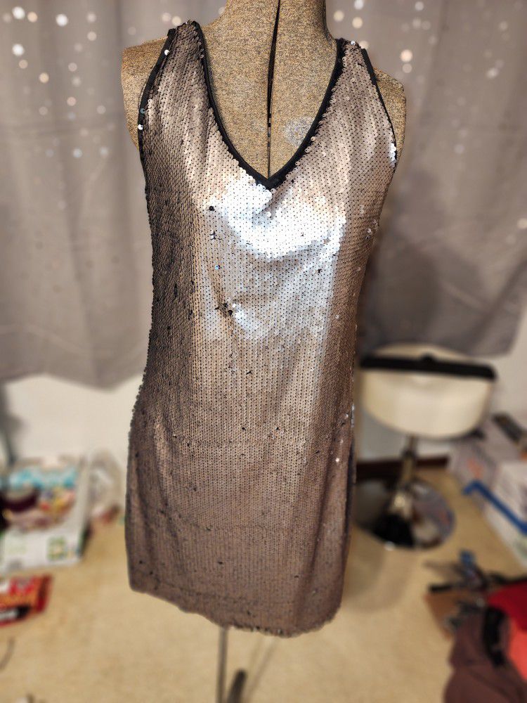 Romeo And Juliet Silver Sequins Dress