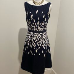 Women’s Dress 👗 Loft Brand 