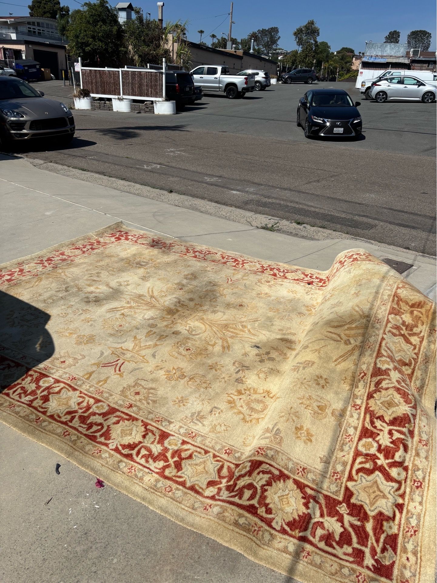 Safavieh 9 x12 Anatolia wool rug