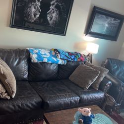 Sofa Bed 