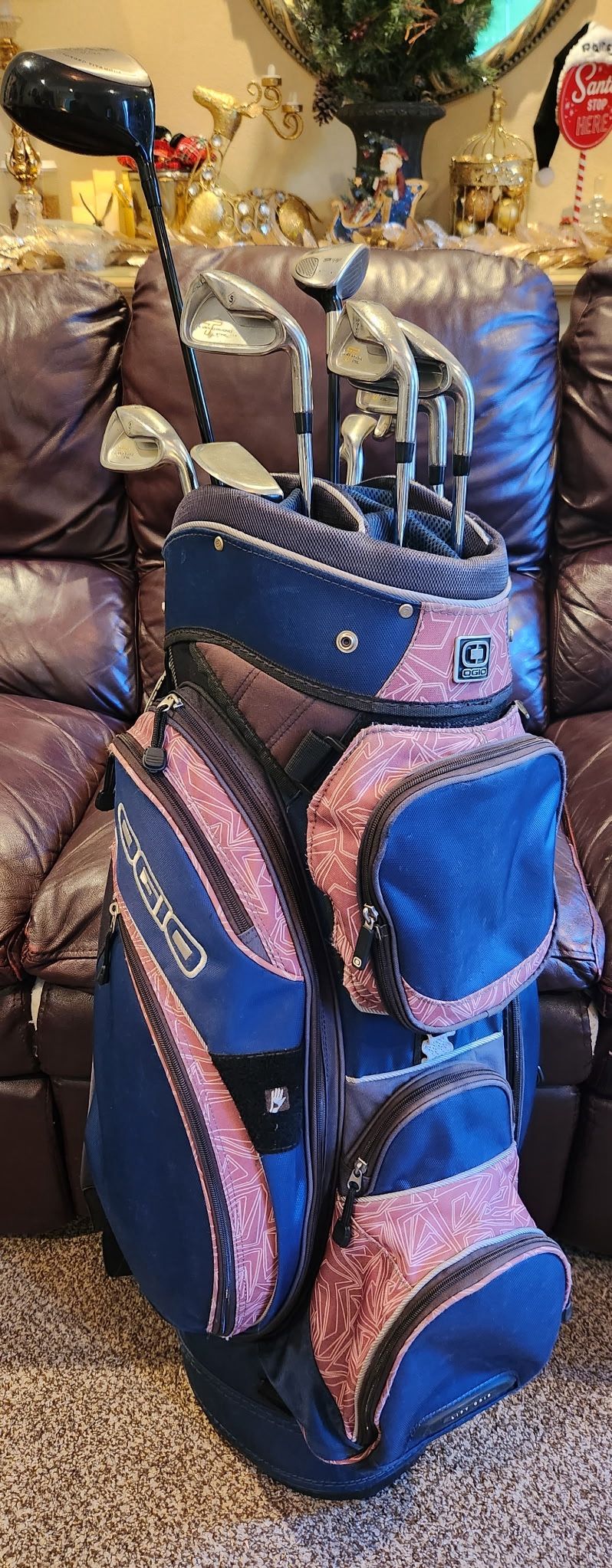 T-Steel Iron by Silver Diamond golf club set with extras