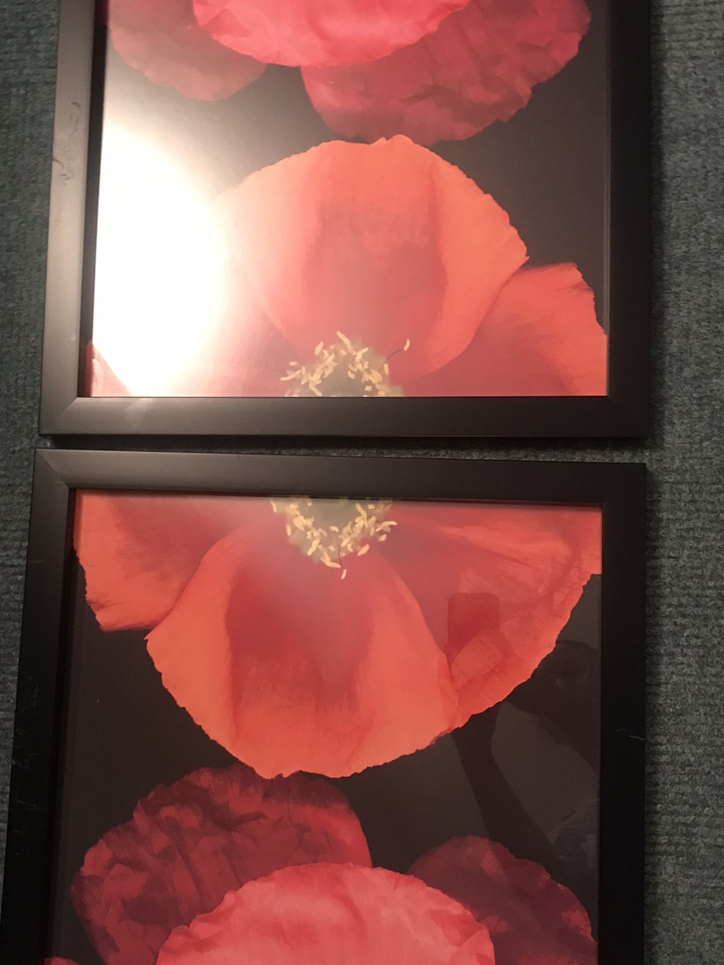 Flower Art Frames Decor (18 X 18)