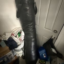 Professional punching bag