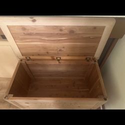 Chest