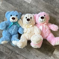 Teddy Bears 🧸 