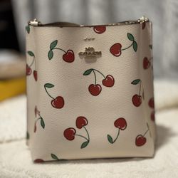 Coach Mollie Bucket 22 bag 