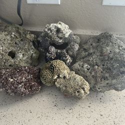 Saltwater Live Rock