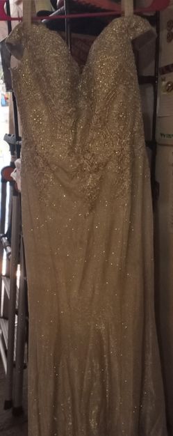 Large Fancy Party Dress