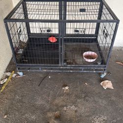 Cage
