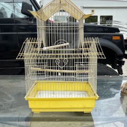 Bird Cage 