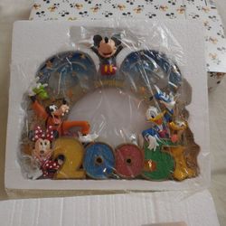 2005 disney picture frame
