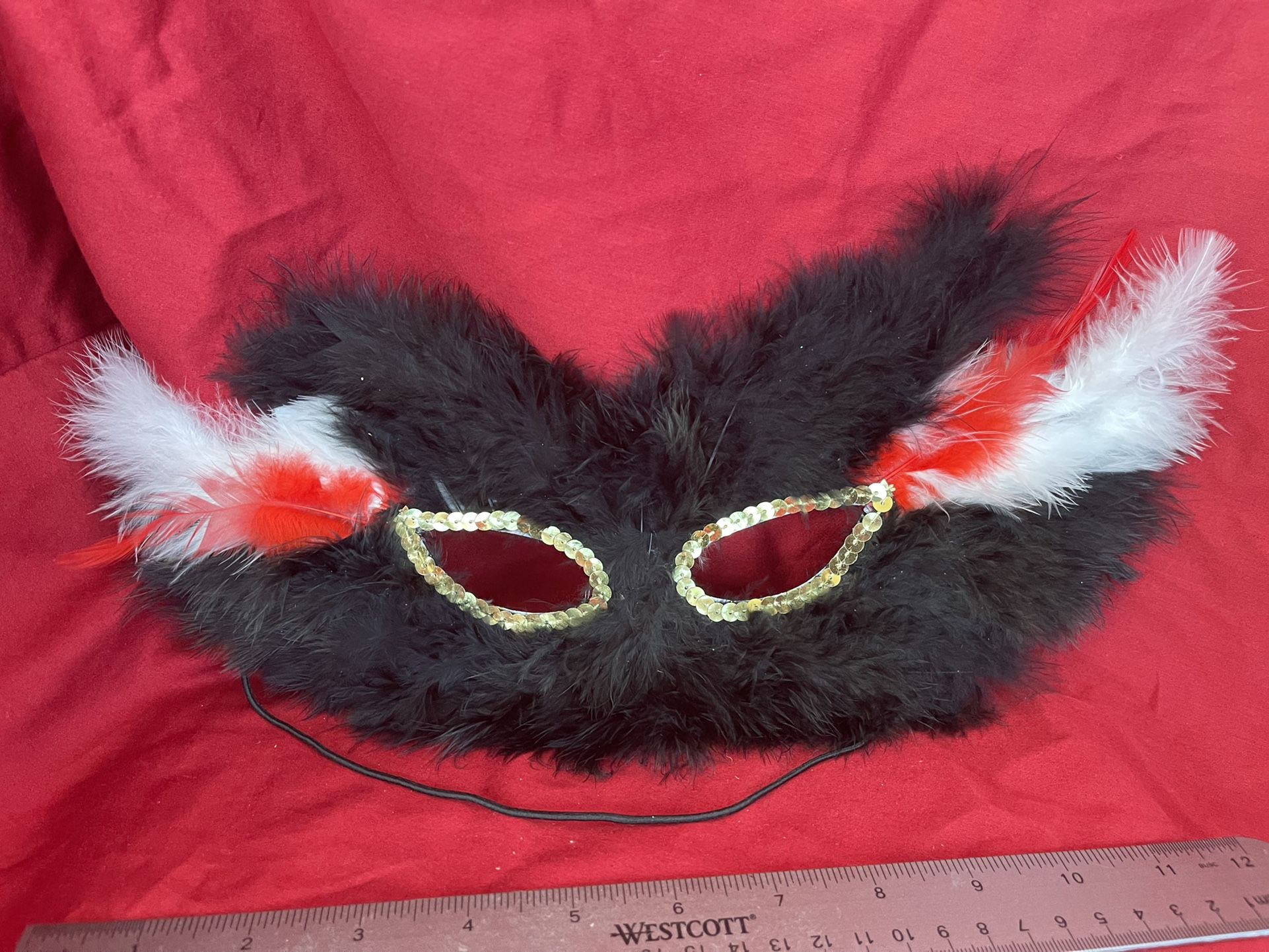 Black Feathered Mask Or Costume